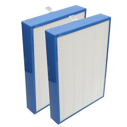 Filtre WISESKY WS460A haute efficacité PUERBURG lot de 2 filtres H13 HEPA charbon actif