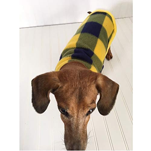 dachshund clothing for adults