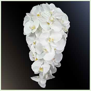 胡蝶蘭 ブーケ　お値下げ中 41MrQwpGvvL._AC_UF350,