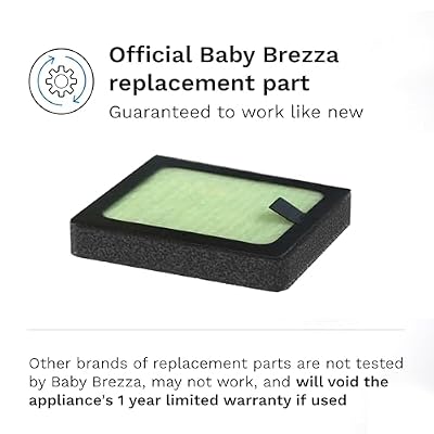 Baby Brezza Replacement HEPA Filter for Baby Brezza Sterilizer Dryer Advanced