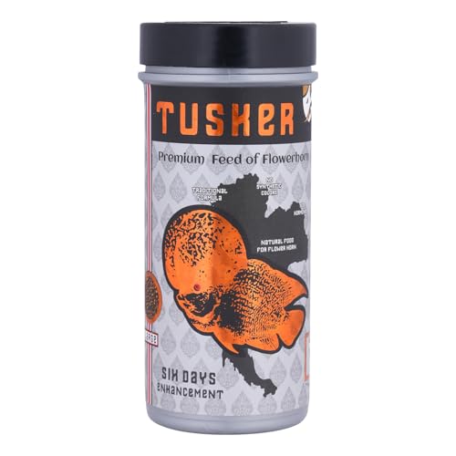 Image of JSquare Tusker Premium Feed of Flowerhorn, 6 Days Enhancement Fish Food | 55% Protein | Traditional Formula, Large Pellets, Natural Fish Food for flowerhorn | 100 Grams,Adult