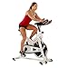 Sunny SF-B1110 Indoor Cycling Bike