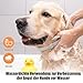Beruhigungshalsband für Hunde 6 Packungen Hund Pheromon Calm Halsbänder Relief Angst Stress Trennung Lasts 120 Tage Relieve schlechtes Verhalten 25 Zoll Größe einstellbar für alle Hund (Grau)