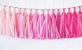 Zorpia 15pcs Tissue Paper Tassels Garland, Mixed 3 Colors(Pink+ light pink+ rose)