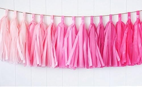 Zorpia® 15pcs Tissue Paper Tassels Garland, Mixed 3 Colors(Pink+ Light Pink+ Rose)