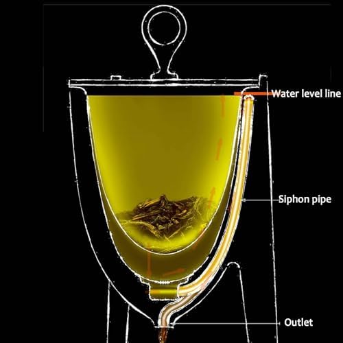 Juego de infusor de té de acero inoxidable, estilo sifón automático con tetera de 250 ml y taza de 500 ml para elaboración artística, degustación de té y fácil limpieza