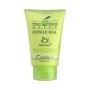 Chihtsai Volume Moisture Olive Cuticle Seal 3.4oz100ml
