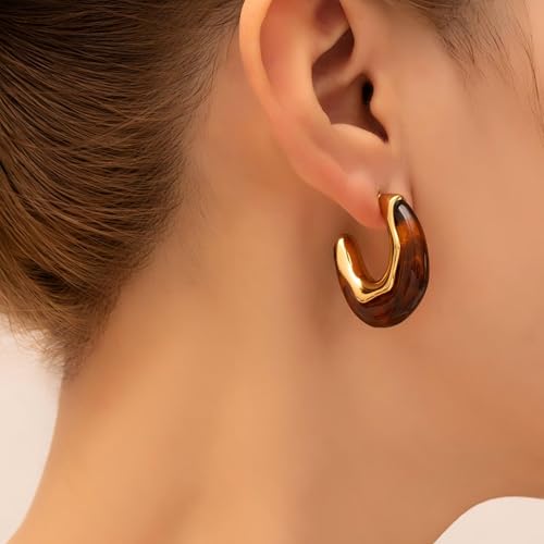 Chunky Gold Dangle Earrings for Women Non Tarnish Pink Brown Amber Resin Earrings Trendy 18K Gold Plated Dangle2