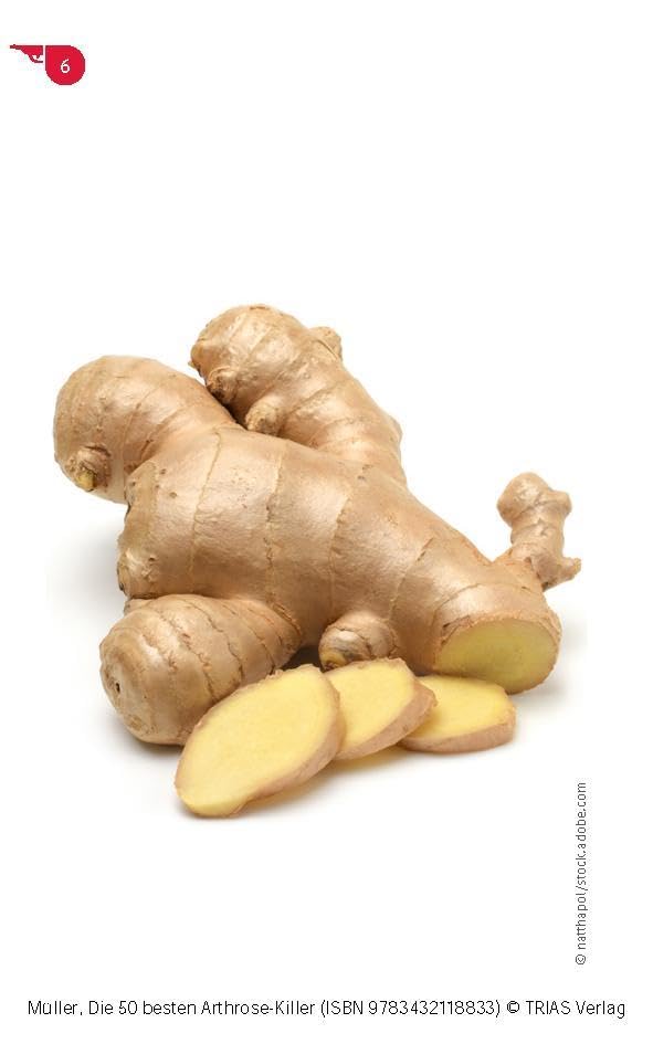 Die 50 besten Arthrose-Killer