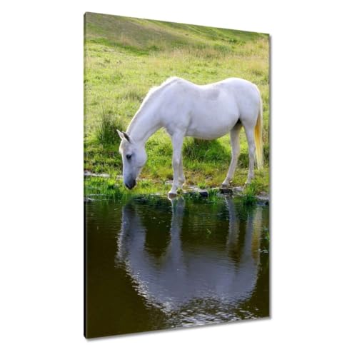 Cheval blanc peinture imprimée sur toile 80x120 cm pour habiller un grand mur vide