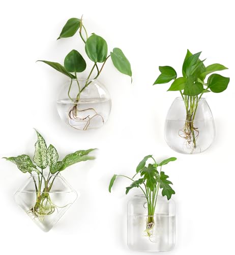Mkono Propagation Wall Hanging Planter Glass Terrarium Flower Vases Holder