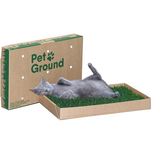 Gazon Naturel PetGround pour Chats, Alternative Naturelle et écologique à Bacs à litière pour Chats, bac étanche, Réutilisable et sans Odeur (Standard...