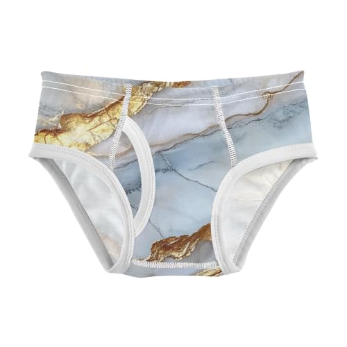 GuoChe Boys Underwear Briefs Soft Cotton Marble Silver Neutral in Sizes 2T,3T, 4T, 5T, 6Y and 8Y