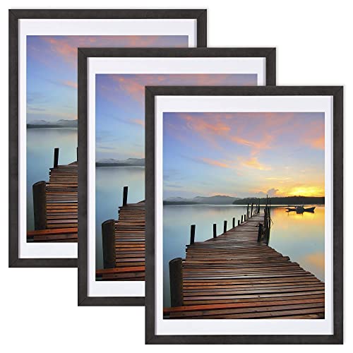Best 12 x 16 picture frames Zogby