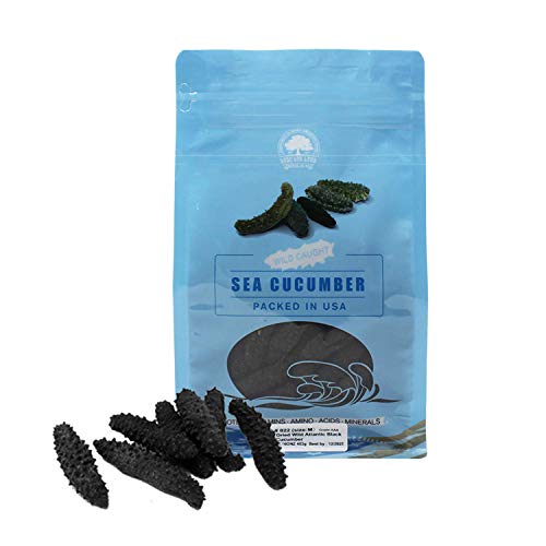 Dol Wild Caught,Sun Dried Atlantic Black Pin Sea Cucumber All Natural Nutritious,大西洋岩刺參 小黑刺海參 (Medium 8Oz/Bag) #TOP7