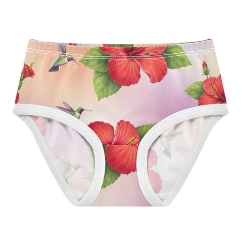 Vibrant Flowers Leaves Hummingbirds Toddler Girls Underwear 2t Cotton Little Girl Panties Florals Kids Undies Briefs