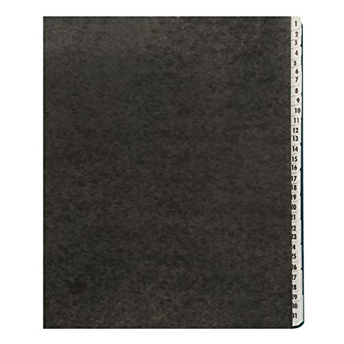 Amazon Basics Expandable Desktop File Sorter, Daily & Monthly Paper Organizer, Letter Size, Black view 3