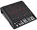 Roland SPD-SX Sampling Percussion Pad Bundle With Drumsticks, MIDI Cable, Instrument Cable, and Austin Bazaar Polishing Cloth