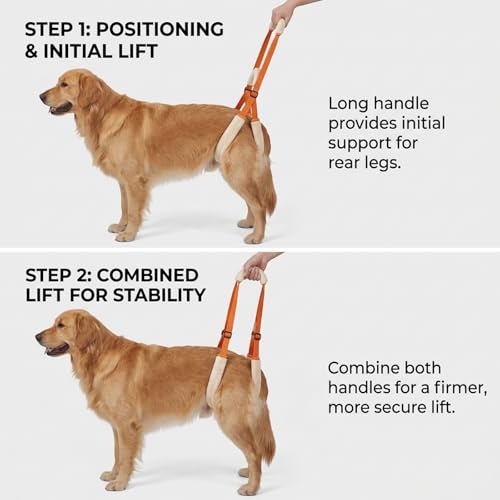 Dog Lifting Harness, Dog Sling for Back Legs Support, Assistance Device for Injured Dogs, Post-Surgery Recovery Mobility Aid, Daily Walking and Stair Climbing Support Harness - Image 6