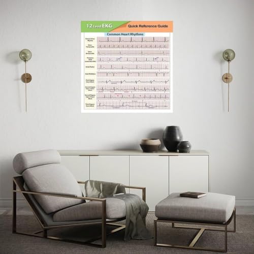 Poster EKG de référence 12 dérivations 40x60cm encadré pour formation - 3