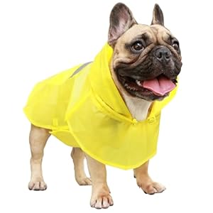 iChoue Dog Raincoats, Packable Rain Coats, Lightweight Rain Jacket with Reflective Straps, Adjustable Poncho for Medium Dog French English Bulldog Pug Terrier (Yellow, Small) iChoue Dog Raincoats Packable Rain Coats Lightweight Rain Jacket with Reflective Straps Adjustable Poncho for Medium Dog French English Bulldog Pug Terrier Yellow Small