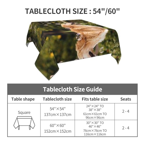 Nappe carrée pour chien imperméable : la solution anti-tache pour table de cuisine