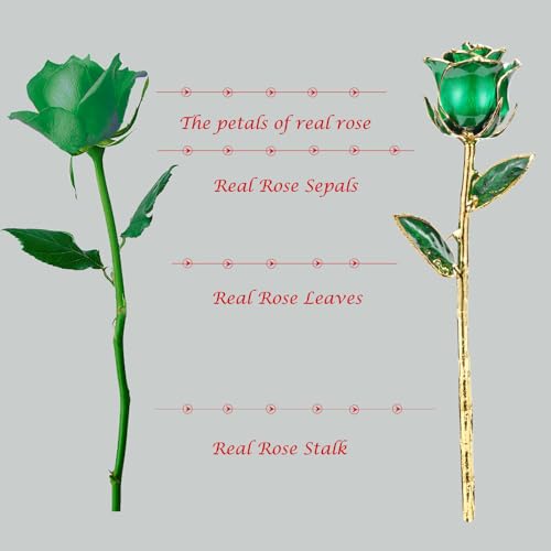 Image of 24K Gold Real Rose, Gold Dipped Rose Made from Real Rose Best Gifts for her and Great Gifts for Mom (Green Original Rose with Stand)