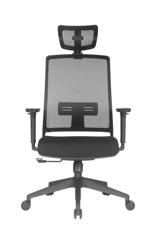 ErgoLab Cube Office Chair, High Back Ergonomic Mesh Home Office Desk Chair, Computer Chair with