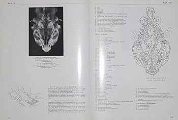 Atlas of radiographic anatomy of the dog and cat
