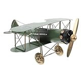 Idea de decoración: para entusiastas, que ofrece una adición única y reflexiva a su colección de decoración, decoraciones de fiesta de cumpleaños de aviones, póster de aviación
