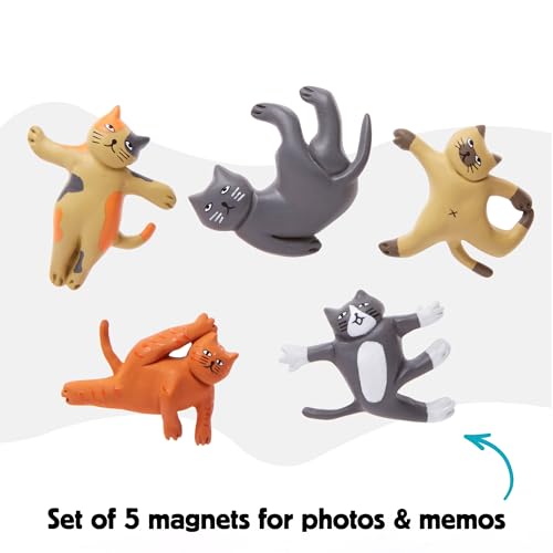 Set de cinco iman Kikkerland gato yoga decorativo miniatura 4
