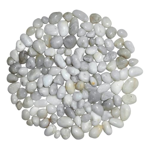 2000g Piedra Jardín Decoración Canto Rodado, Piedra Natural Pulido, Piedras Decorativas Jardin Guijarros Naturales Pequeñas 1-3 cm para Paisajismo, Jardin, Acuarios, Suculentas (Blanco, 1-3 cm)