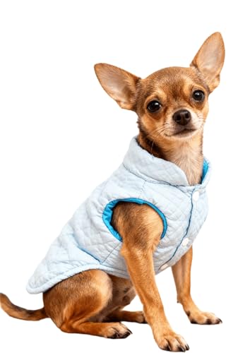 Soft Warm Chihuahua Coats Lightweight Pet Dog Winter Jackets for Small Medium Dogs Puppy Cold Weather Coat Pet Clothes, Blue, Small