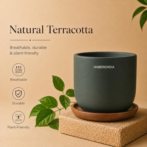 Image of Habere India-All the Cultures Fabricating India Plant Pot with Wooden Plate | Flower Pots for Dining Table & Home Decor | Terracotta Pot for Living Room Decoration (Dark Gray, Dia11 x H9.5 cm)