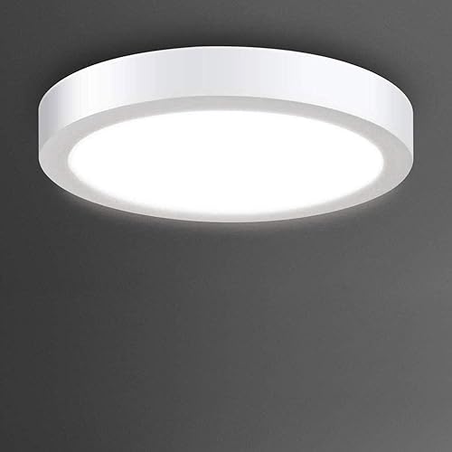DLLT 18W Flush Mount LED Ceiling Light, 8.86 Inch Surface Mounted Lighting Fixture, 6000K Daylight White Round Ceiling Lamps for Bedroom, Kitchen, Closet, Garage, Hallway, Basements, Aisles, Balconies