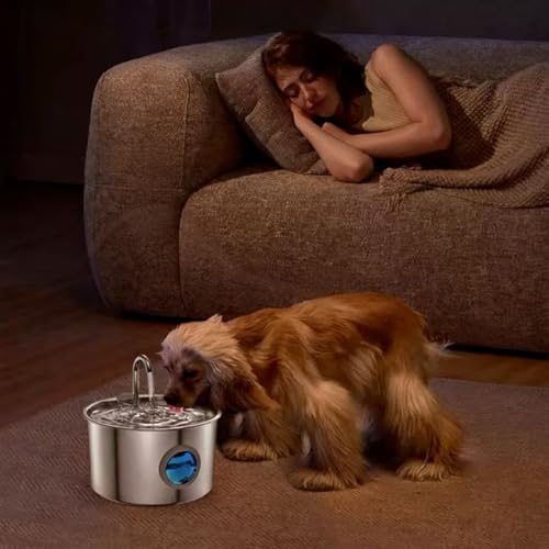 Fuente de agua para gatos acero inoxidable recargable miniatura 7