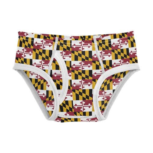 Boys' Exclusive Briefs Toddler Underwear 95% Combed Cotton Boxerbriefs 2T Maryland State Flag 25