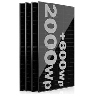 Solarpanel 4x 500W Jolywood Bifazial Glas-Glas PV-Module mit 2x2mm Glas, modernster n-Type Technology, Erweiterungs-Module für Ihre Mini-Solaranlage, Balkonkraftwerk oder DIY Komplettanlage (4er)