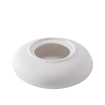 Amazon.co.jp: 精緻な皿、高級食器の芸術的発想皿、洋風フレンチ