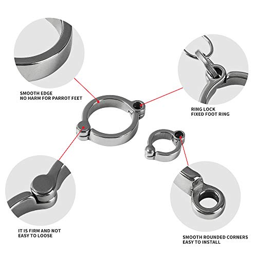 Bird Foot Rings 316L Stainless Steel Bird Harness Outdoor Parrots Leg Ring Outdoor Fly Training Activity Opening Clip Accessories for Parrots(15.5mm)