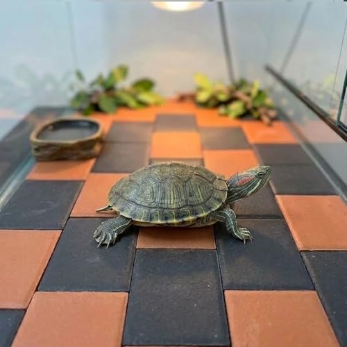 Nadkvkl 20pcs Turtle Basking Rock, Turtle Tank Decorative Stone, 2.36×1.57×0.2 Inches.Temperature Regulating Platform for Feeding, Basking and Nail Grinding, Ideal for Reptiles and Amphibians (Red)