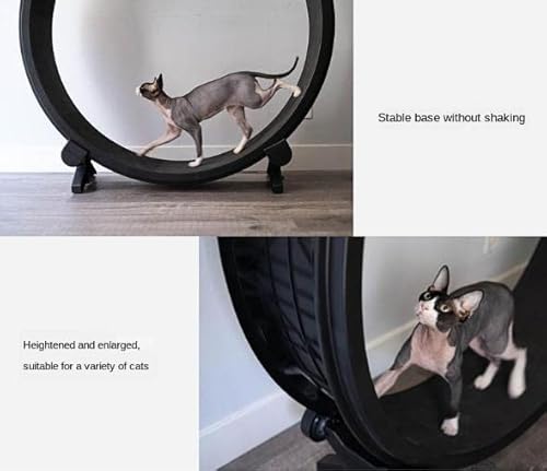 Cat Exerciser Wheel Pet Mute Treadmill, Trainer Fitness Device Dog Walking Supplies, For All Things Running, Spinning, Scratching, 2 Model/Size #TOP2