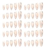 jojofuny Silberne Künstliche Fingernägel mit Flammen Nieten – 24 Stück Vollabdeckung Wiederverwendbare Press Nails in Verschiedenen Größen für Frauen Nageldesign zum Aufkleben