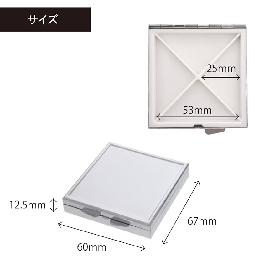 Amazon.co.jp: 大王製作所 ピルケース 4区画 10個入 薬ケース