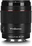 YNLENS