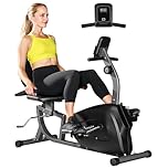 Soozier Recumbent Exercise Bike for Home, 300LB Indoor Stationary Bike for Seniors with Quiet 8-Level Magnetic Resistance, LCD Monitor, Heart Rate Handle, Adjustable Seat, Wheels