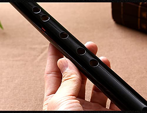 Harmonica Instrument traditionnel flûte bambou Junior C D E F flûte traversière à touches G - Les Beatles, Paul McCartney, John Lennon, RIngo Starr, George Harrison Harmonica Instrument traditionnel flûte bambou Junior C D E F flûte traversière à touches G – Image 5