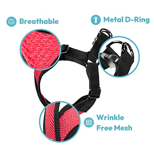 Gooby Comfort X Step In Harness - Green, X-Large - No Pull Small Dog Harness Patented Choke-Free X Frame - Perfect On The Go Dog Harness For Medium Dogs No Pull Or Small Dogs #TOP4