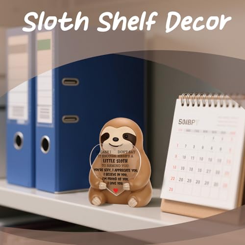 Figurine de petit paresseux anti-stress, l'attention délicate pour rassurer votre petite amie