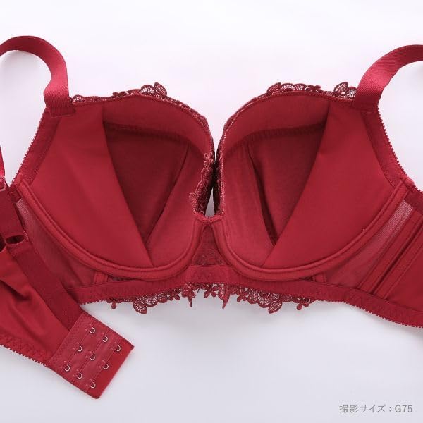 [Bon] ビーオーエヌ ボリュームフラワー シリーズ 脇高 ブラジャー ショーツ セット GHI 大きいサイズ 脇すっきり 脇肉